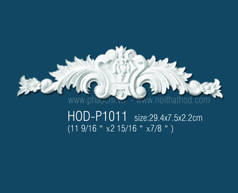 HOD-P1011