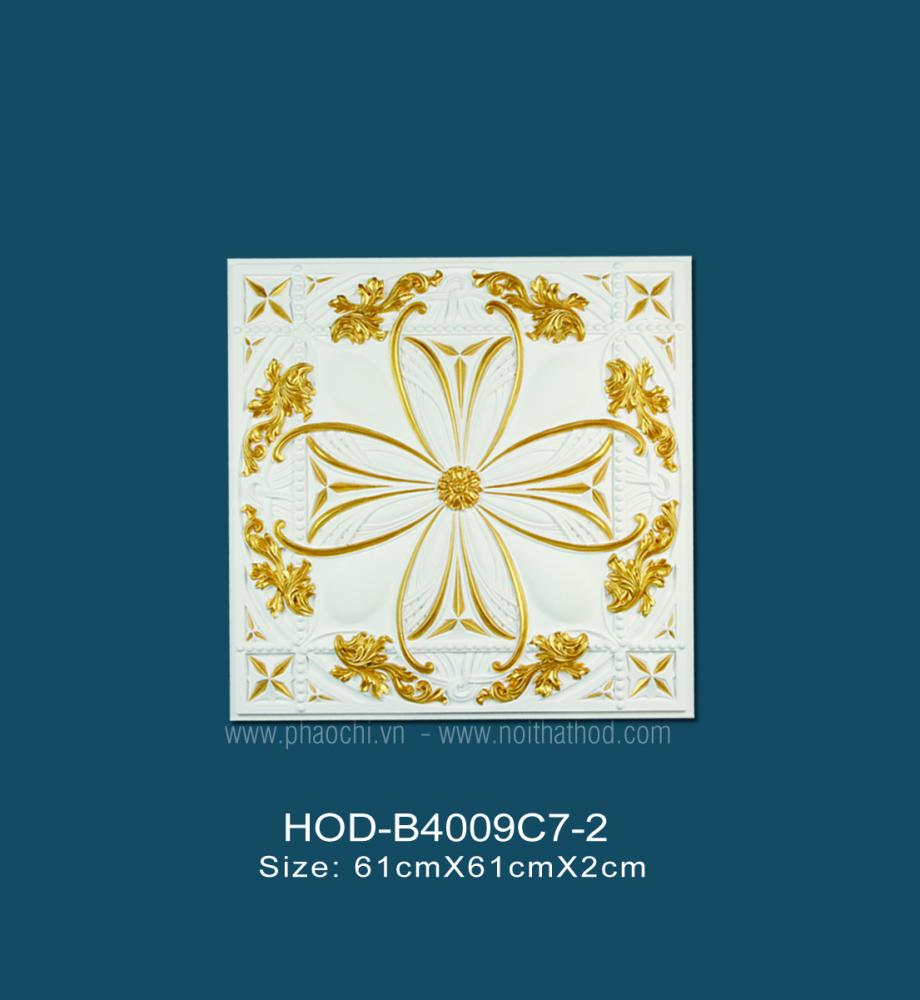 HOD-B4009C7-2